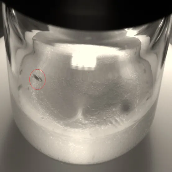 Key Features for Liquid Dosage Applications